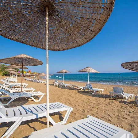 Club Sun Paradise 4* Avsallar